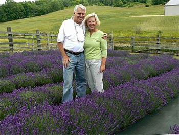 Lavender Hill Farms
